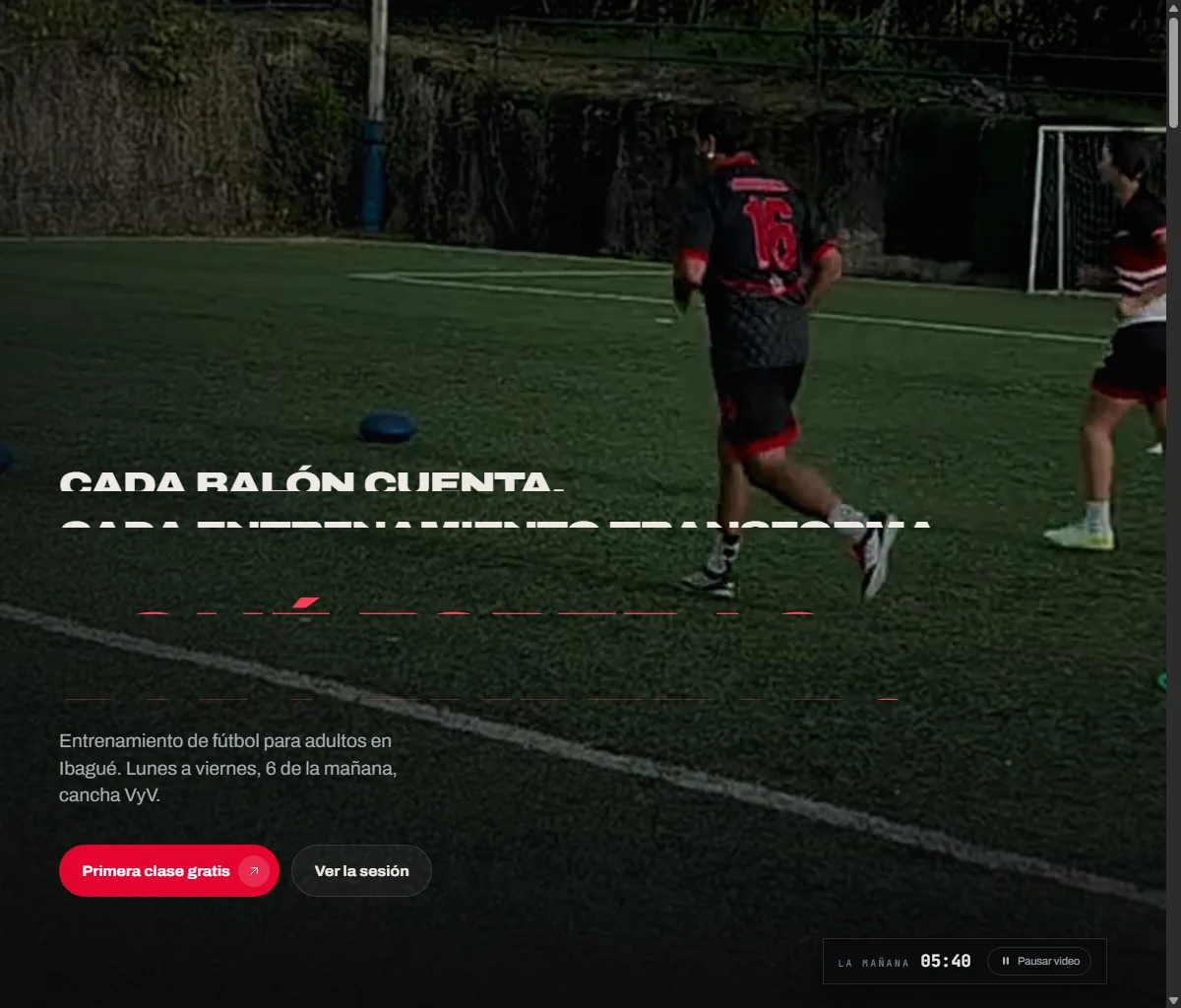 Publicado sports training website used as an example of a P2L first-impression review